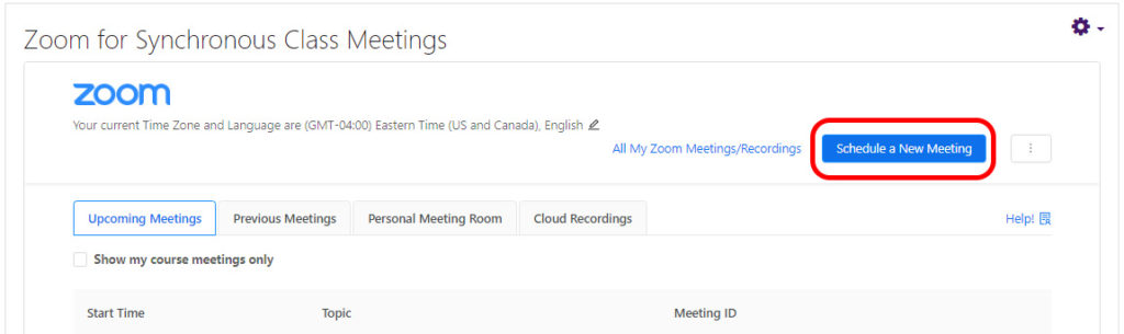 Image shows main page of the Zoom activity with the 'schedule a new meeting' button circled